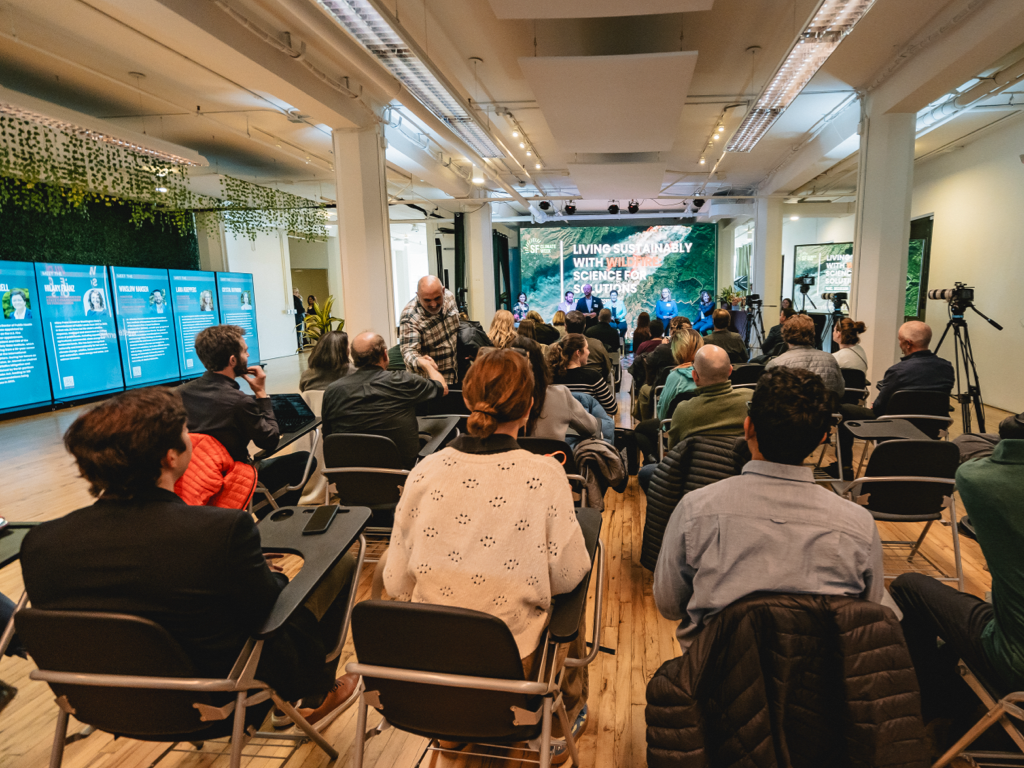 Digital Jungle venue with custom branding on LED displays
